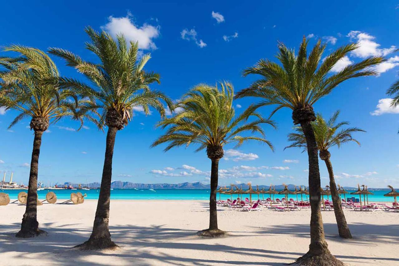 Apartment The Shell Ii, Beach Views And Pool Alcudia  Exterior photo